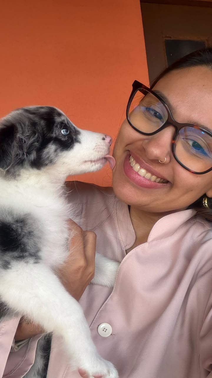 Inverno na Chácara: Mitos e Verdades Sobre os Cuidados com Cães e Gatos