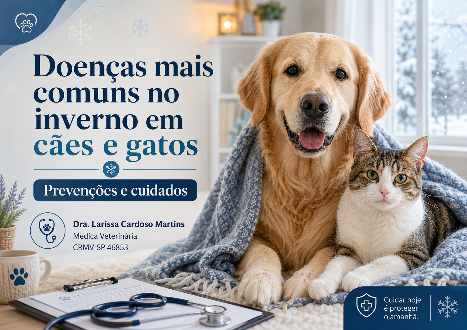 Doenças mais comuns no inverno em cães e gatos.